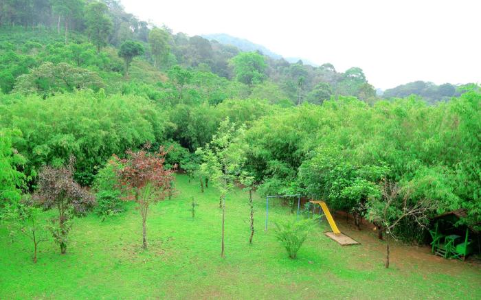 Vythiri Greens Resort