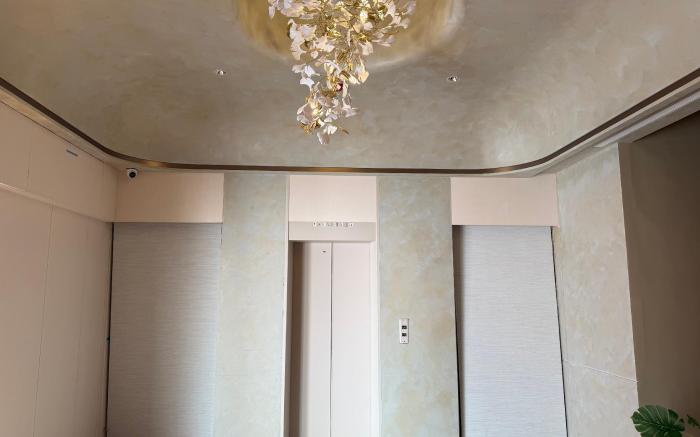 Mr.Petter 佩德先生