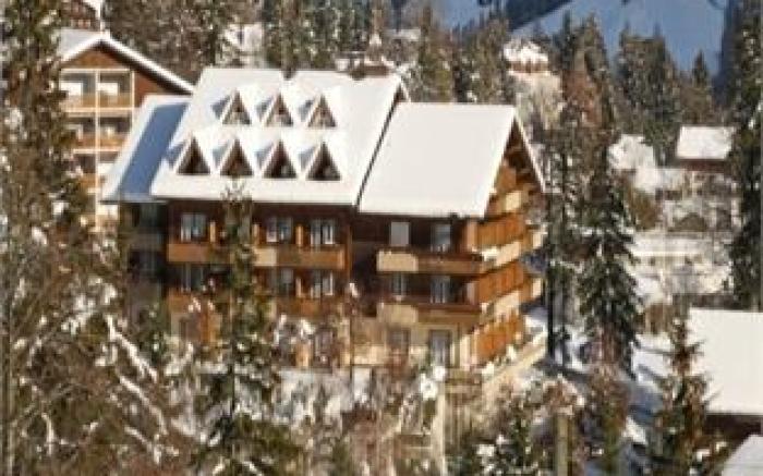 Hotel Steinmattli