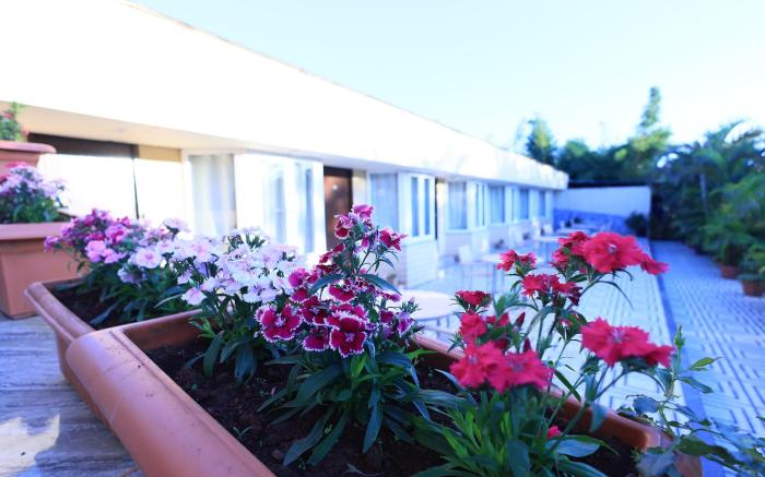 Hotel King Garden