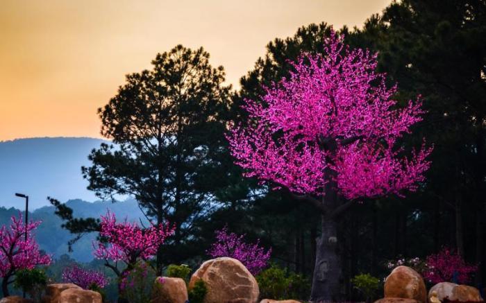Terracotta Hotel and Resort Dalat 