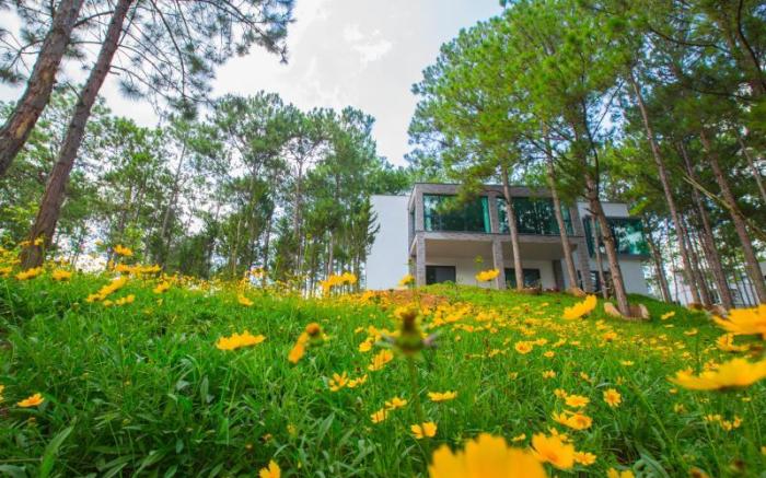 Terracotta Hotel and Resort Dalat 
