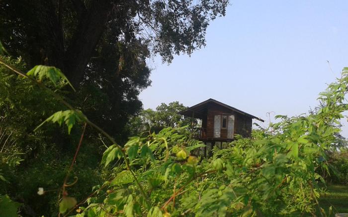 Sigiriya Forest View
