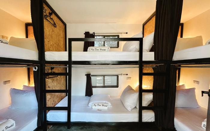 PIG DIVE HOSTEL MOALBOAL