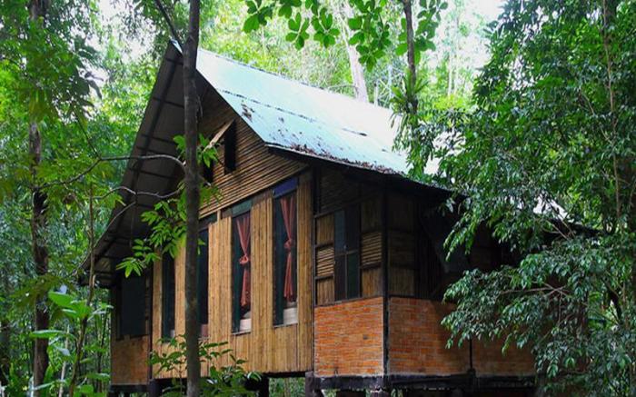 Khaosok Treehouse Resort