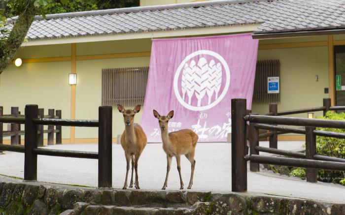 Miyajima Morinoyado Inn