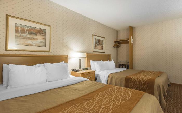 Comfort Inn