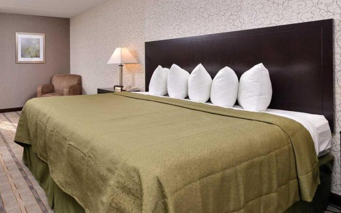 Quality Inn & Suites Matteson near I-57