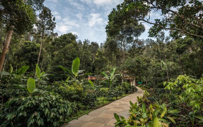 Shambala Yercaud