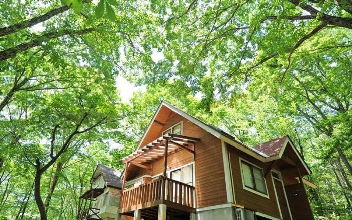 Izumigo AMBIENT Yatsugatake Cottage