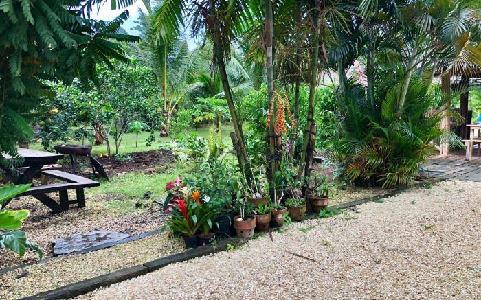 Bohol Island Homestay
