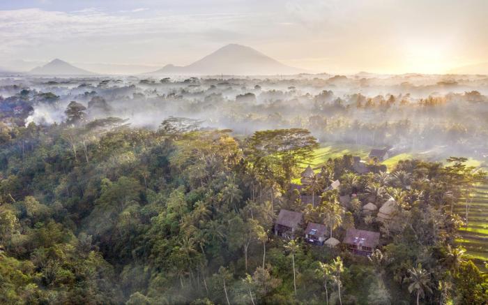 Blue Karma Dijiwa Ubud