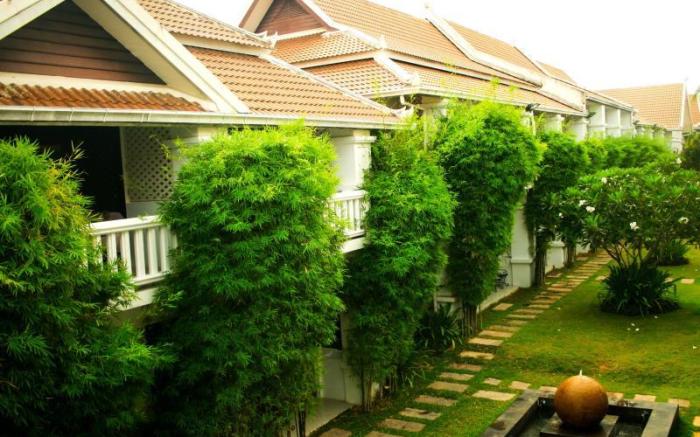 Palm Grove Resort