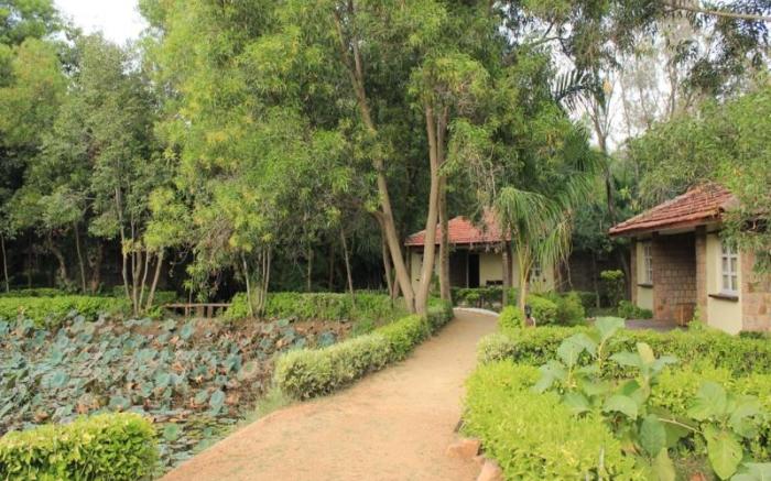 Tiger Trails Resort