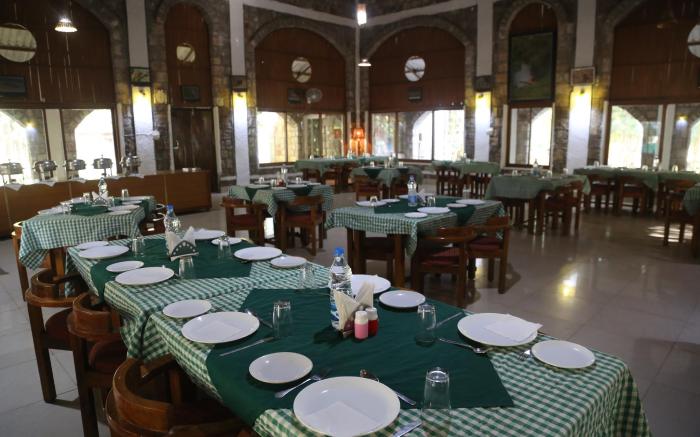 Mogli Jungle Resort