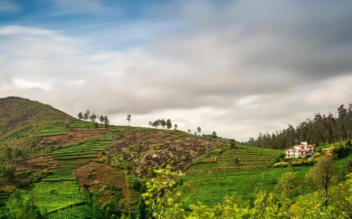 Green Nest Resort Kotagiri