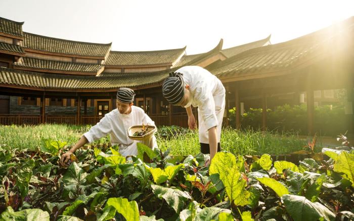 Six Senses Qing Cheng Mountain By IHG