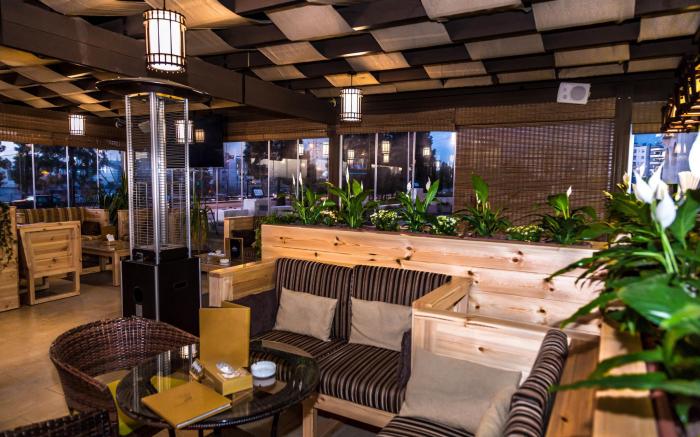 Olive Tree Amman