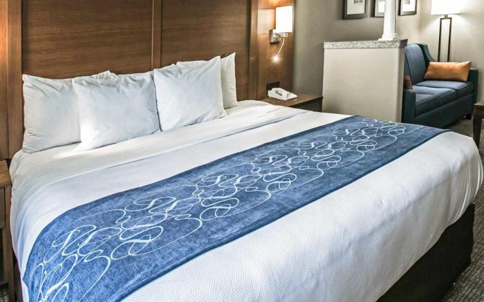 Comfort Suites Houston NW - Vintage Park