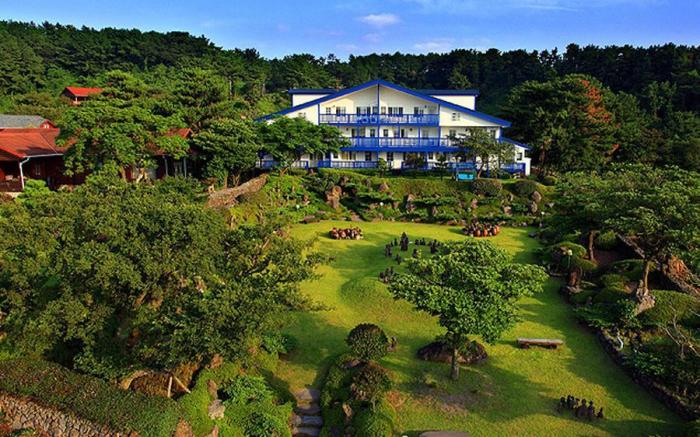 Blooming Hill pension
