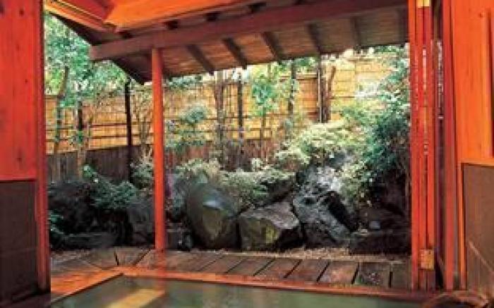 Izukogen Shirogasaki Onsen Hanafubuki