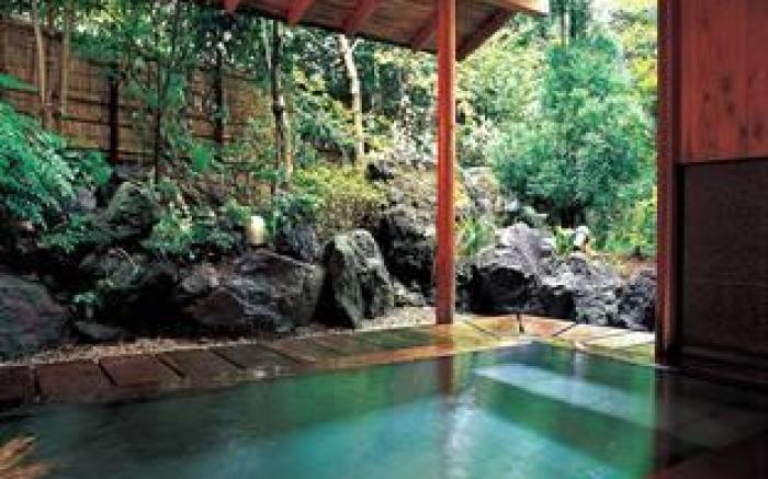 Izukogen Shirogasaki Onsen Hanafubuki