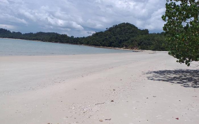 LOTUS KOH PHA YAM