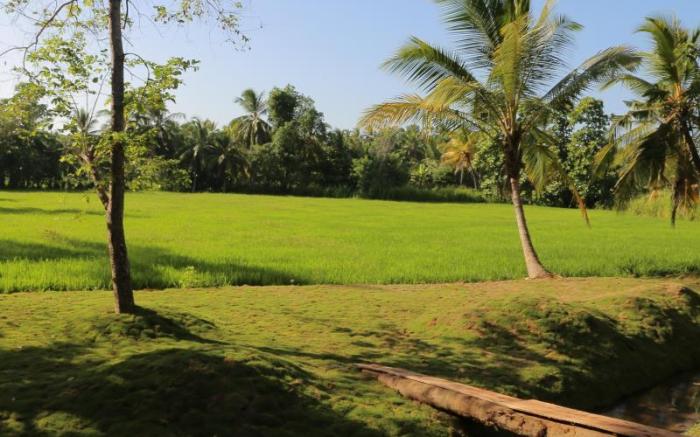 Thidas Arana Hotel