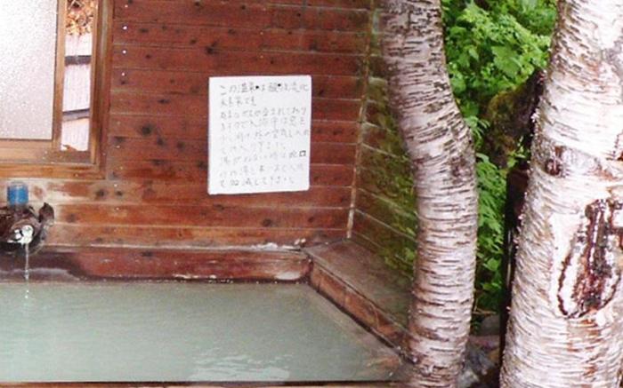 Onsen Inn 36So