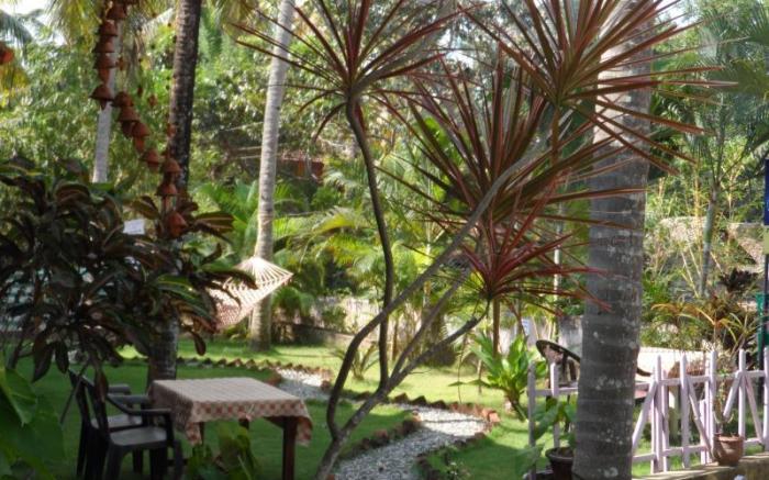 Divine Bliss Beach Resort