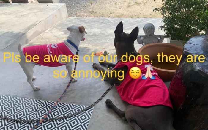 Phangan Hometown Resort - Adults Only