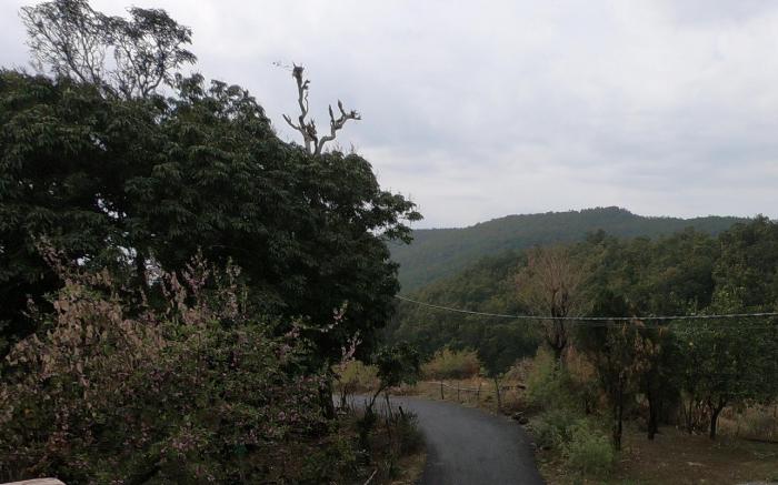 Oxygen Home Stay -Four  Bedroom Set