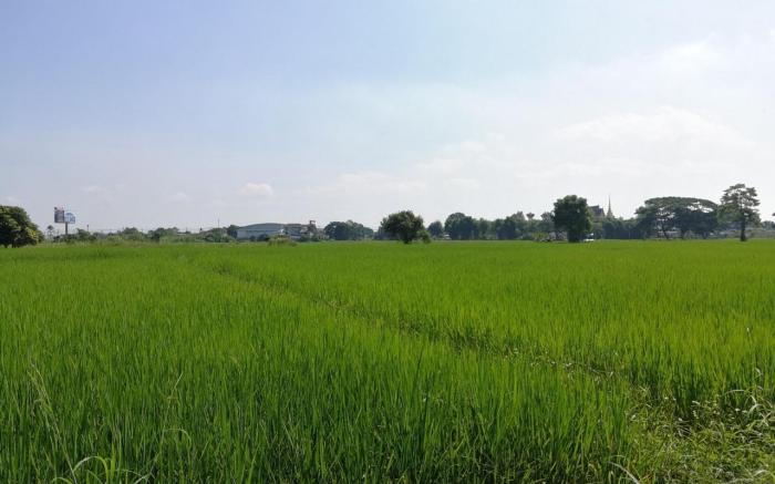 Bee Rest Residence, Bandu, Chiang Rai (House 1)