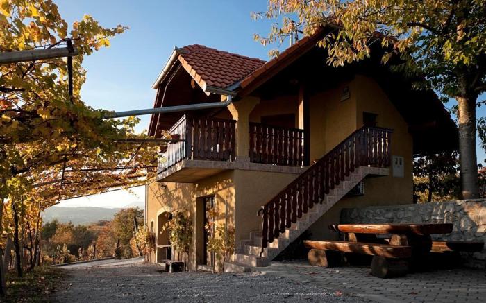 Vineyard cottage Brodaric