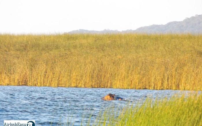 Izulu Eco Lodge | Sodwana Bay | Chalet 3