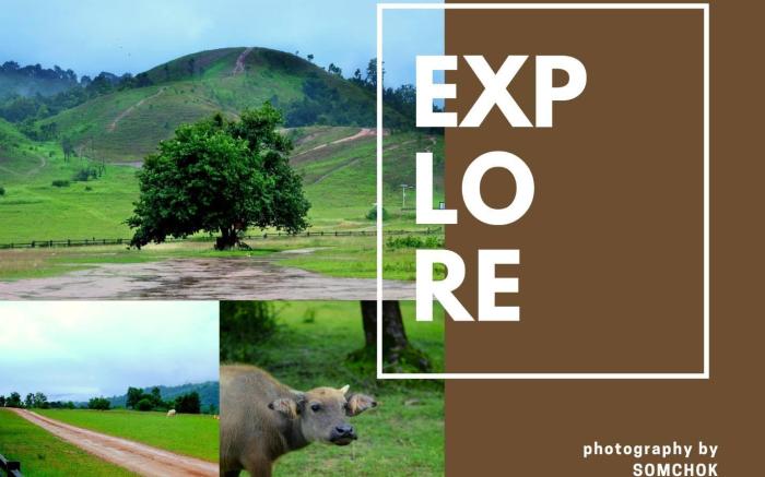 W House Ranong 1Bedroom villa 