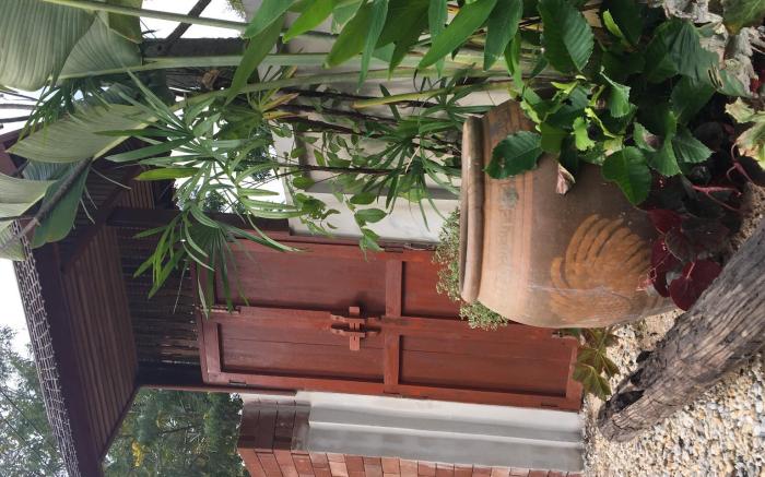 Baan Bua
