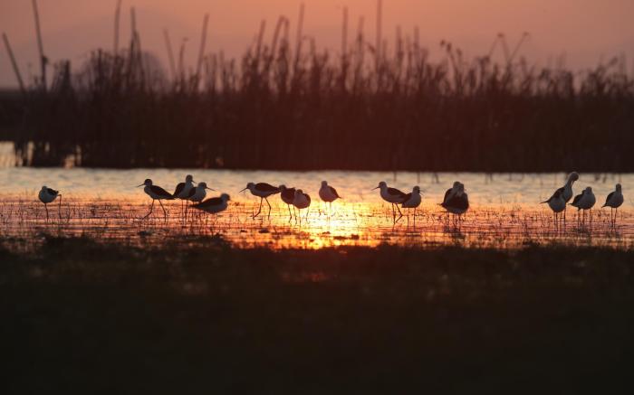 wetlandcamp baanchailay Villa 3