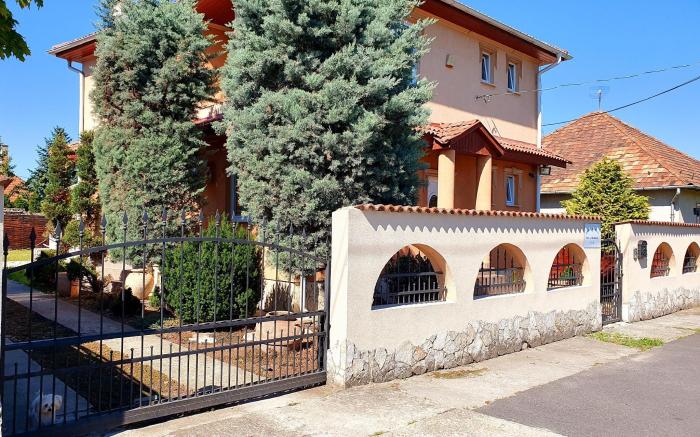 Budapest Airport Luxury 42