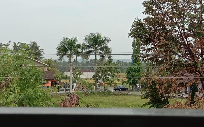 Guest House Teras Anggrek KenZI Puluhan