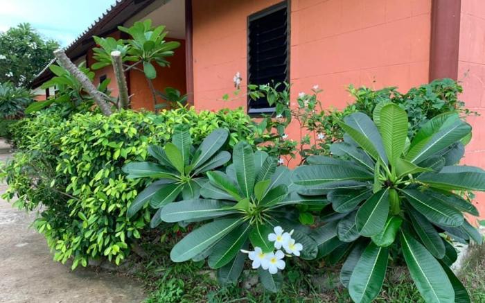 Wang Tanam Resort