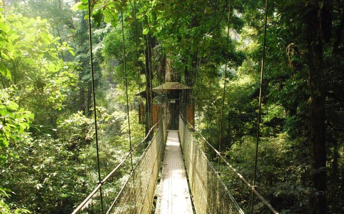 Wildan Guesthouse
