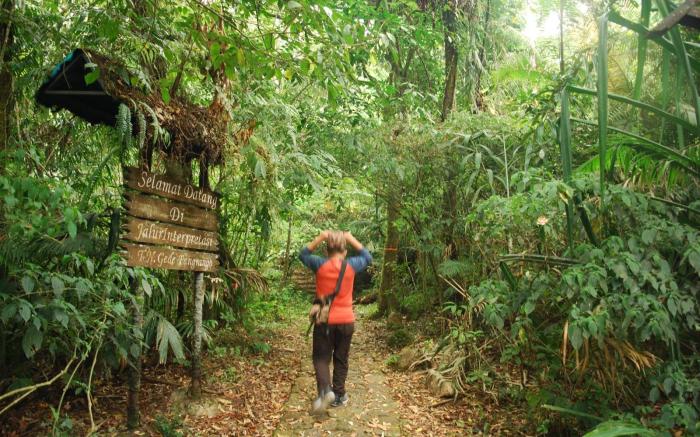 Wildan Guesthouse