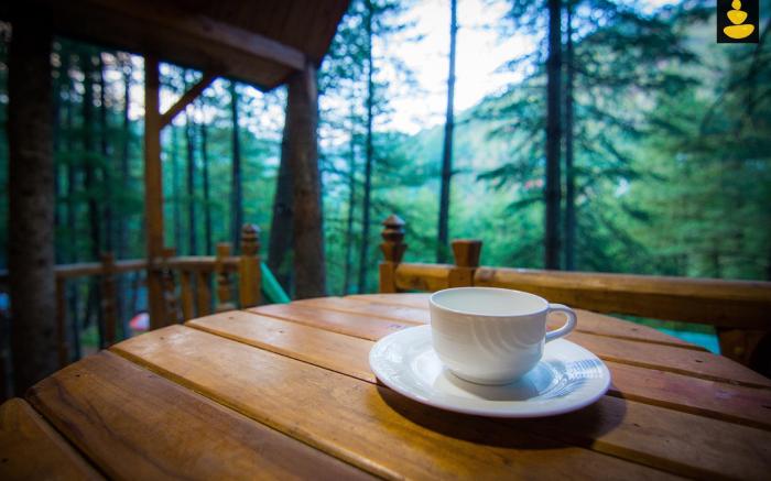Family Treehouse, LivingStone Ojuven