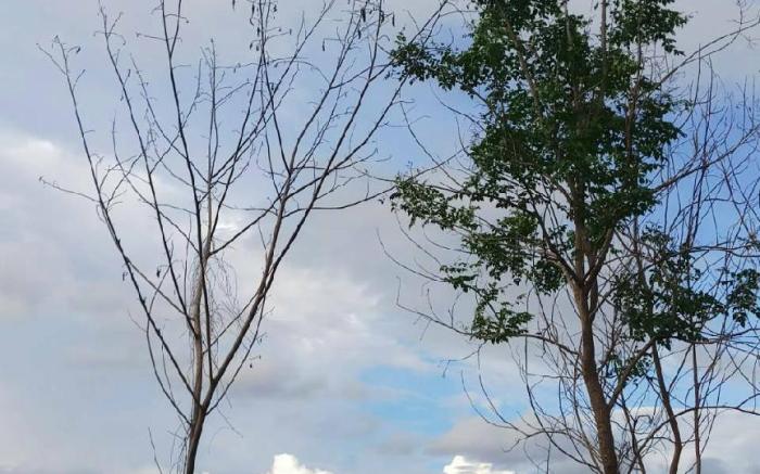 The lake country hill ( บ้านสุขสบายริมน้ำ)