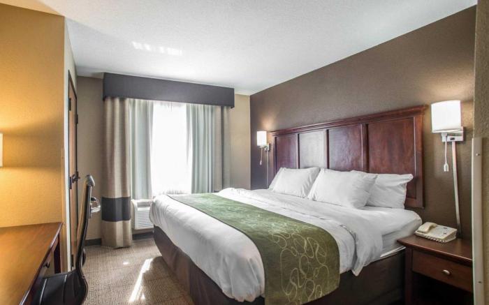 Comfort Suites Columbia - University Area