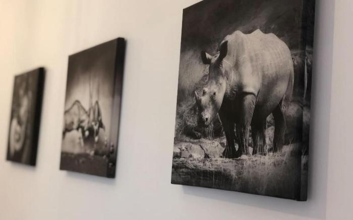 Best Apartment Suceava