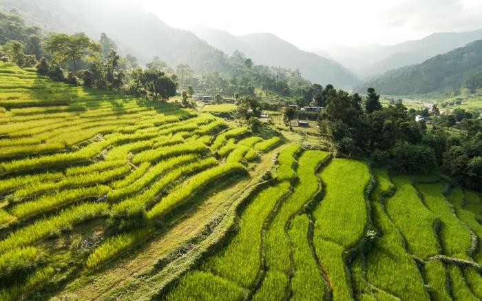 The Pavilions Himalaya The Farm