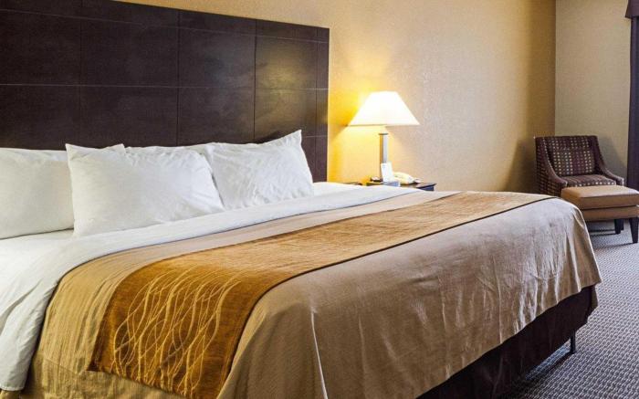 Comfort Inn & Suites