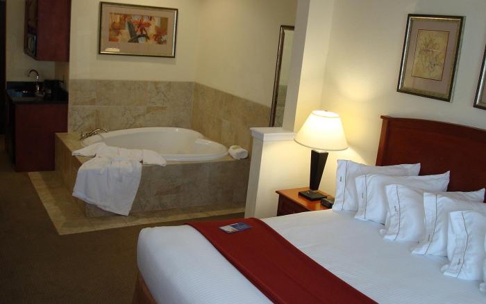 Holiday Inn Express Hotel & Suites Decatur, TX By IHG
